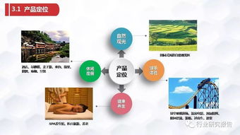 張家界龜仙谷旅游景區(qū)開(kāi)發(fā)項(xiàng)目商業(yè)計(jì)劃書(shū)